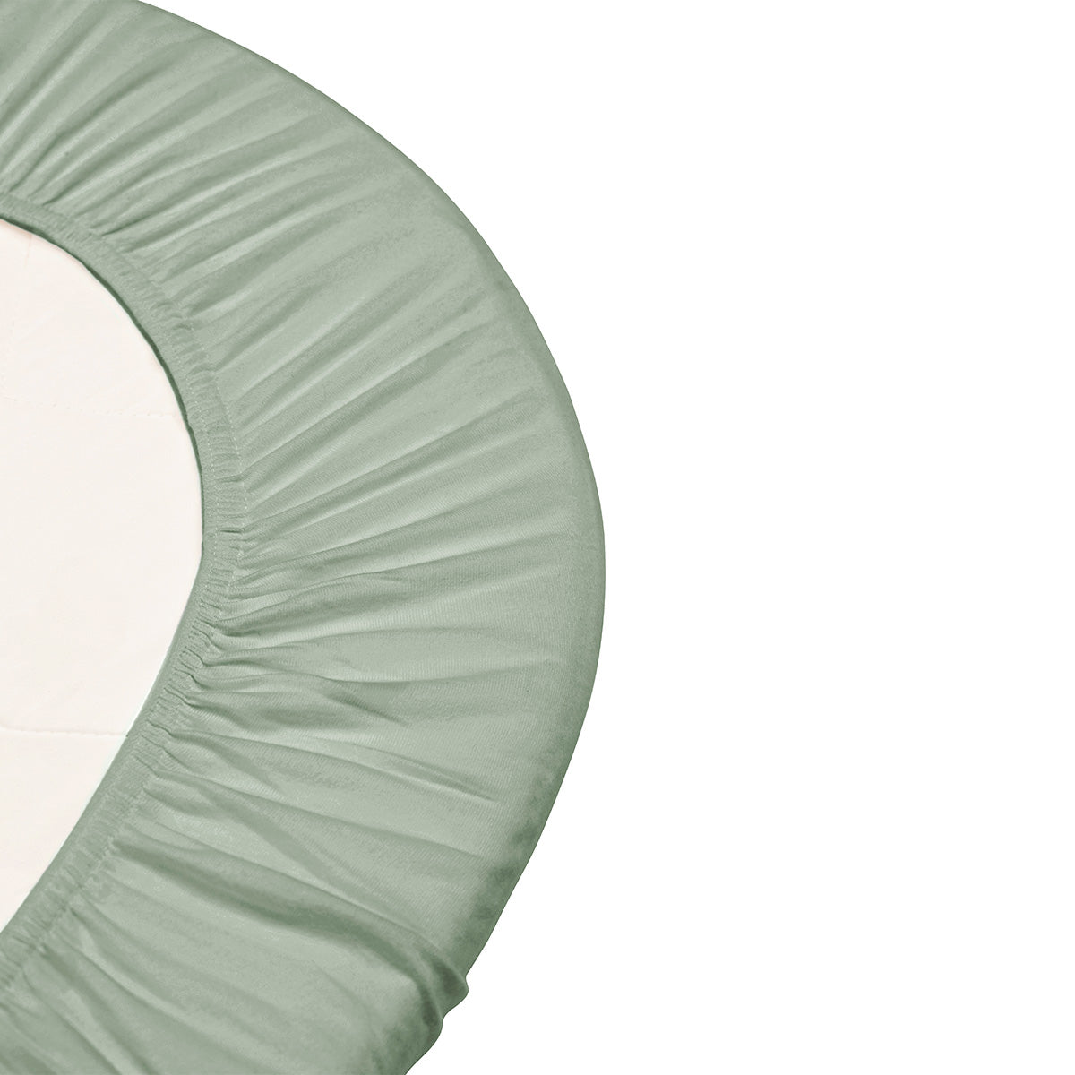 78001369-2.jpg